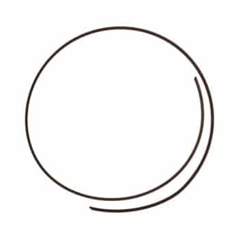 8603580 Case brake piston guide ring